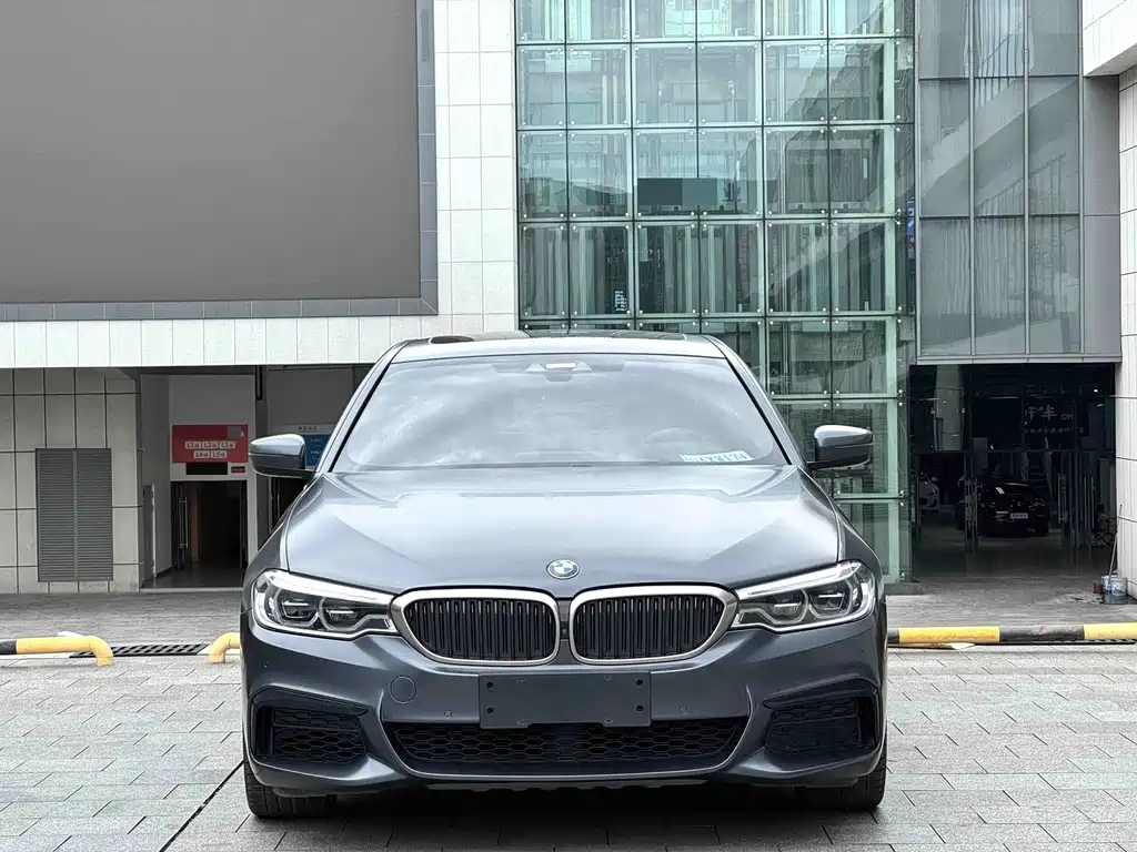 BMW 5 Series 2019
