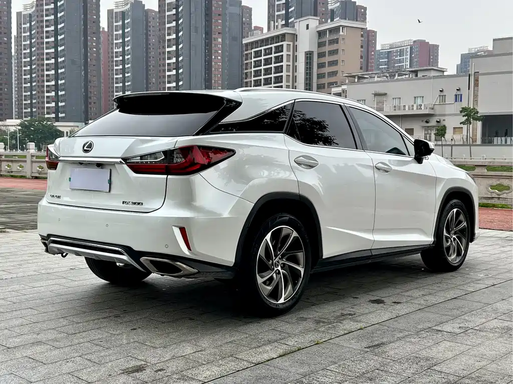 Lexus RX 2019 — фото 13