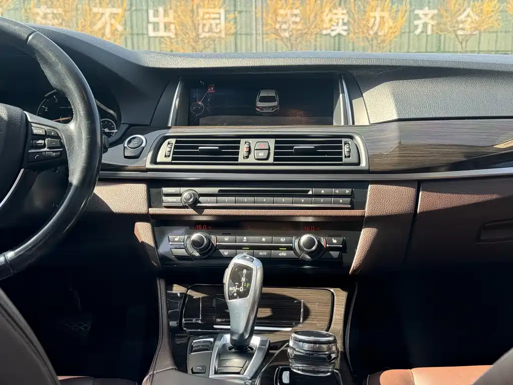 BMW 5 Series 2016 — фото 13