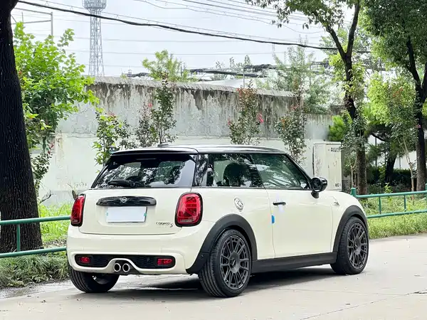 MINI MINI 2020
