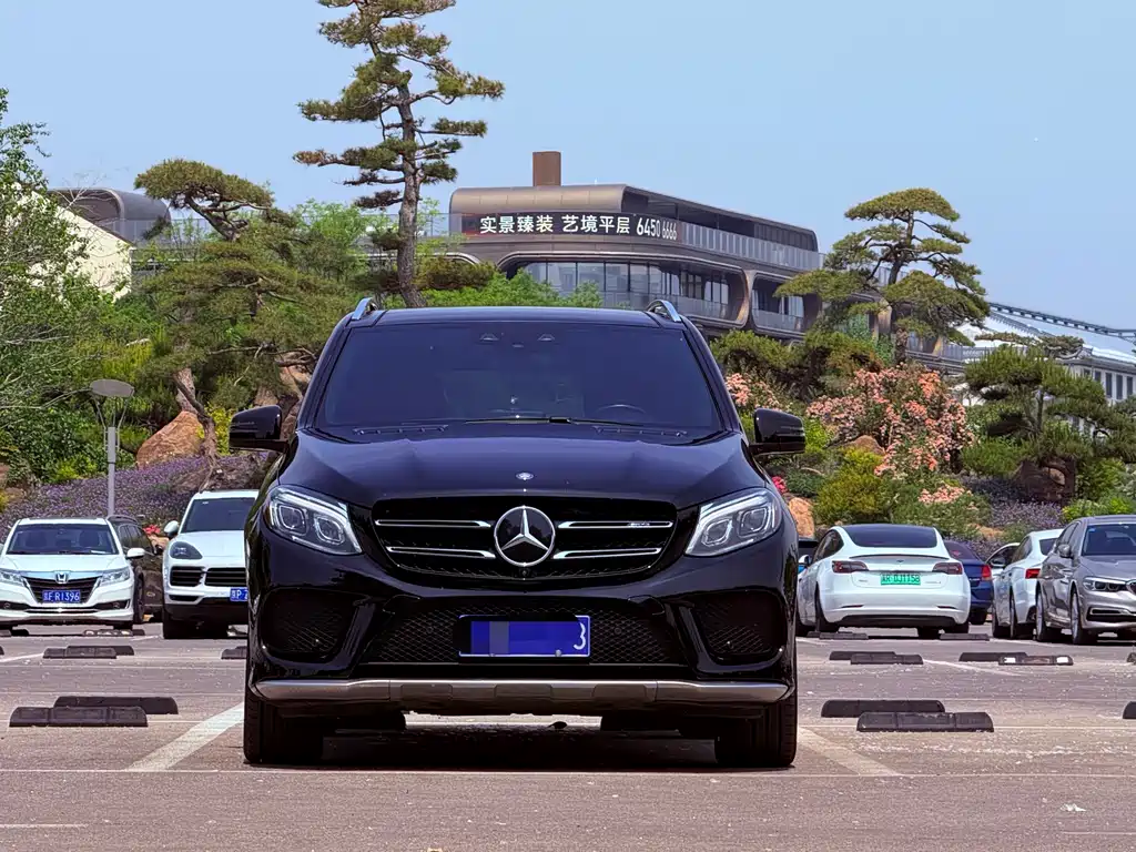 Mercedes-Benz GLE AMG 2017 — фото 2