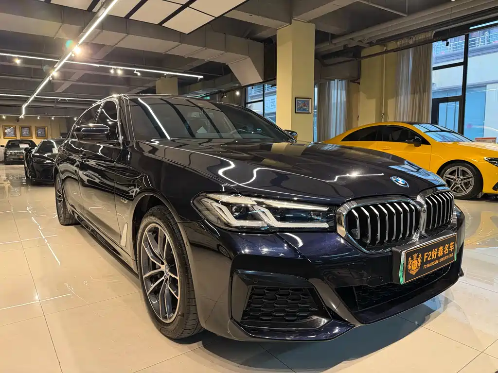 BMW 5 Series New Energy 2023 — фото 6