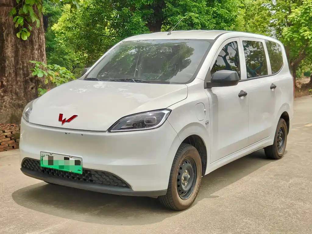 Wuling Hongguang New Energy 2025