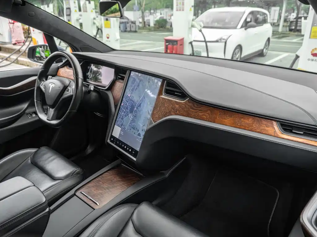 Tesla Model X 2019 — фото 12