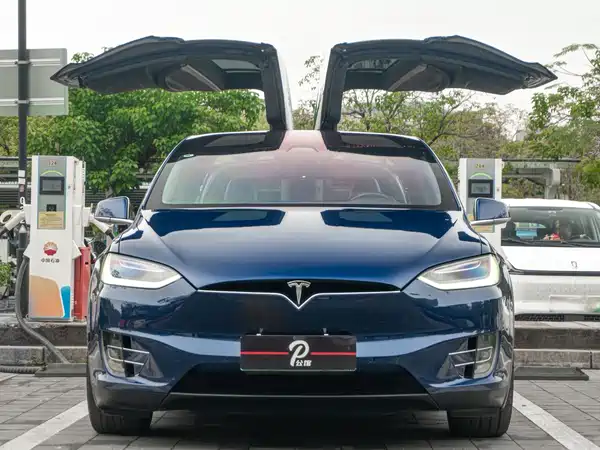 Tesla Model X 2019