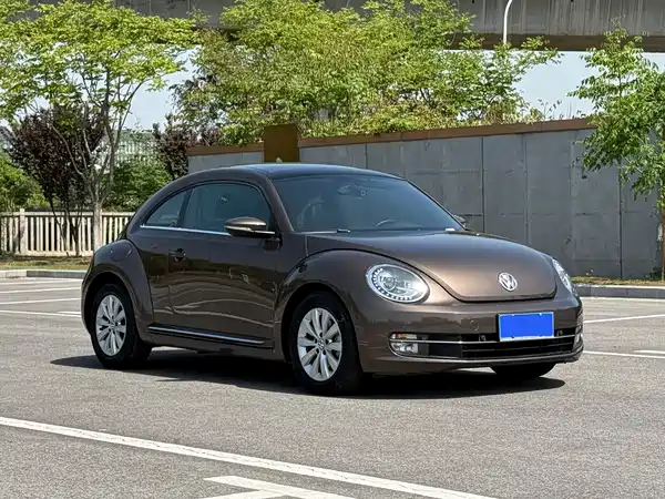 Volkswagen Beetle 2013