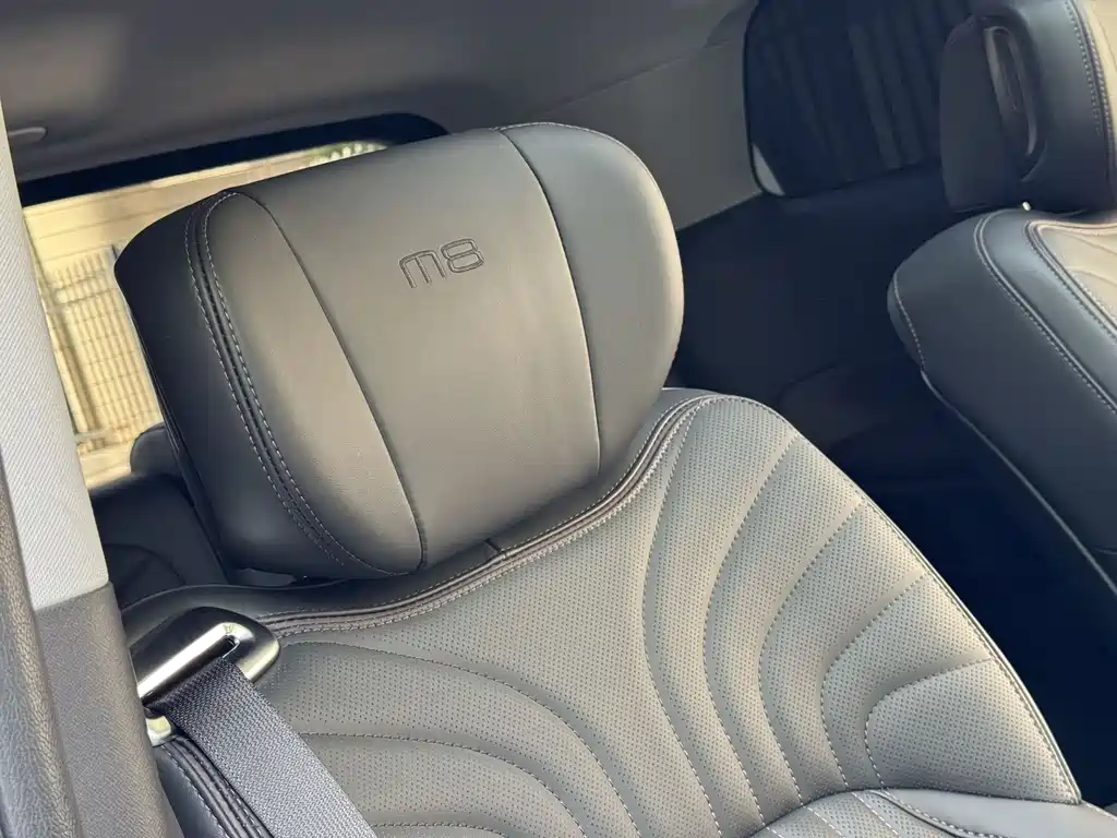 GAC Motor Trumpchi M8 2025 — фото 5