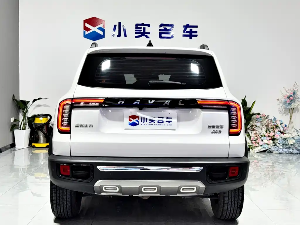 Haval Big Dog 2022 — фото 8