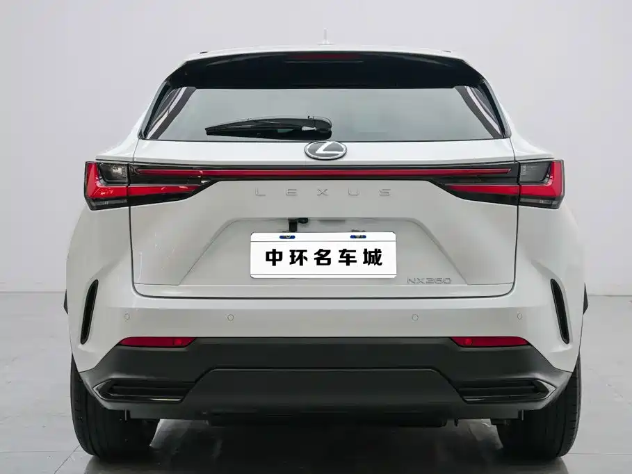 Lexus NX 2024 — фото 16