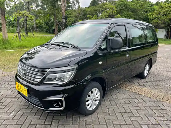 Dongfeng Lingzhi 2018