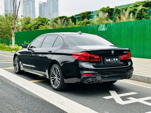 BMW 5 Series 2020