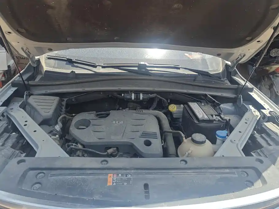 Roewe RX5 MAX 2020 — фото 10