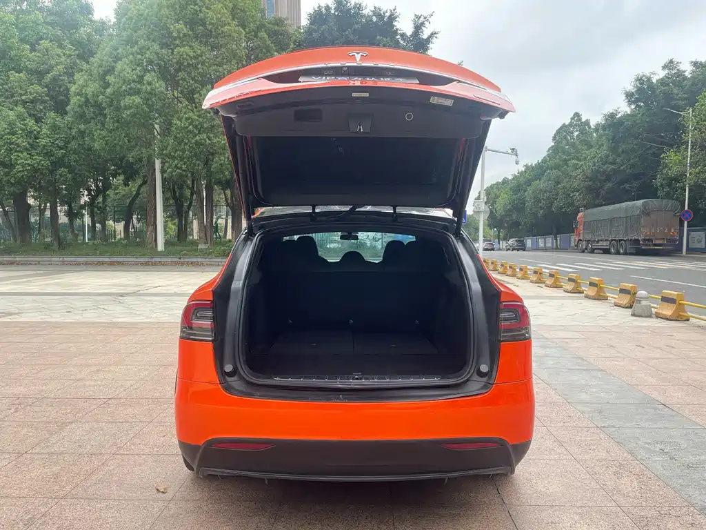 Tesla Model X 2019 — фото 23
