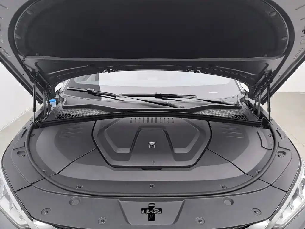 BYD Song PLUS New Energy 2022 — фото 6