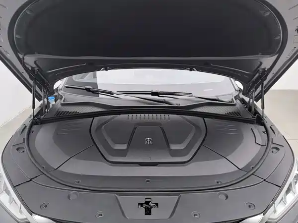 BYD Song PLUS New Energy 2022