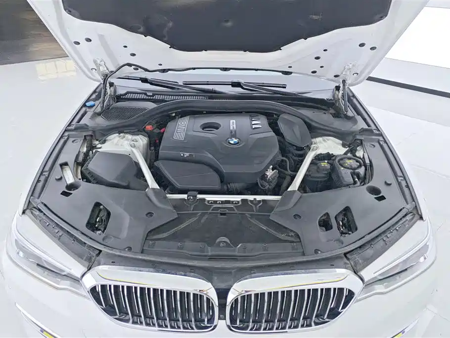 BMW 5 Series 2019 — фото 10