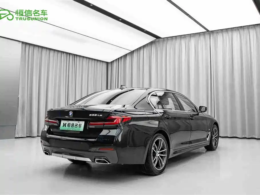 BMW 5 Series New Energy 2021