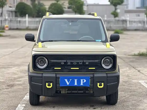 Geely Galaxy Panda 2024