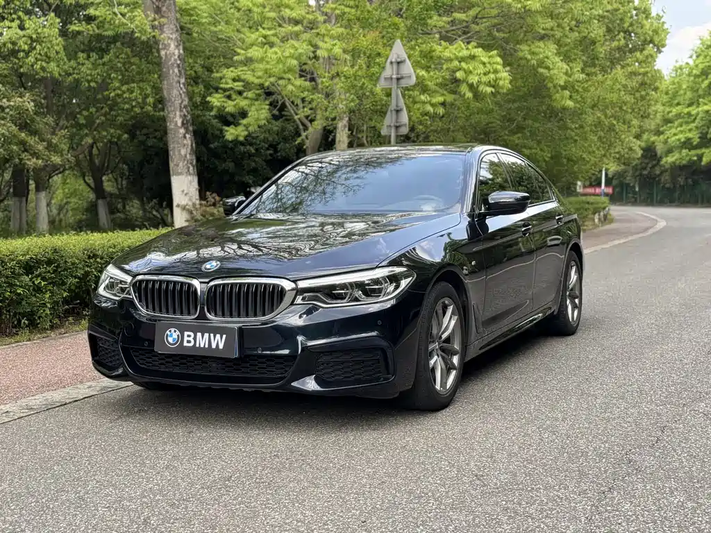 BMW 5 Series 2020 — фото 1