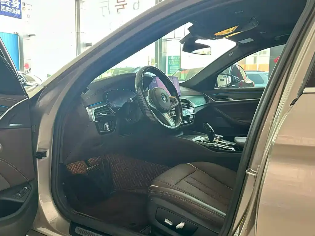 BMW 5 Series New Energy 2021