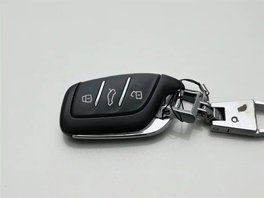 Roewe RX5 MAX 2020 — фото 19