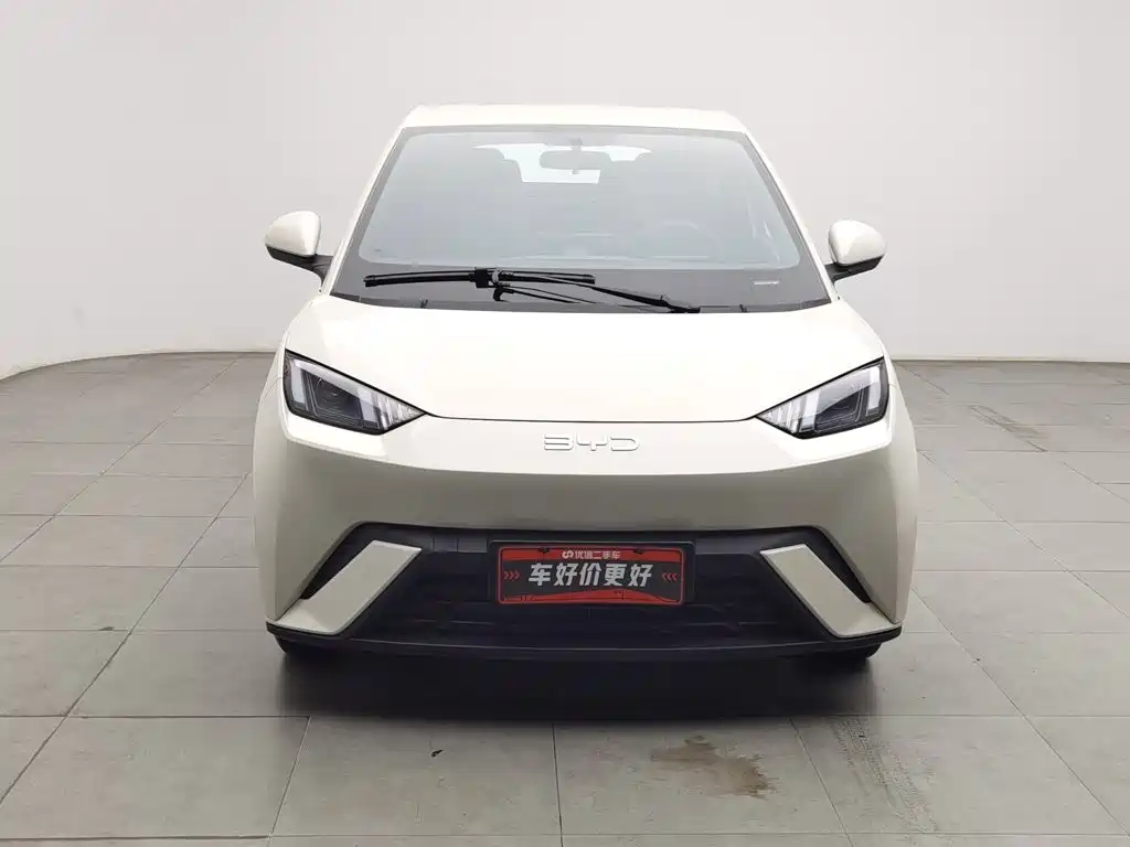 BYD Seagull 2024