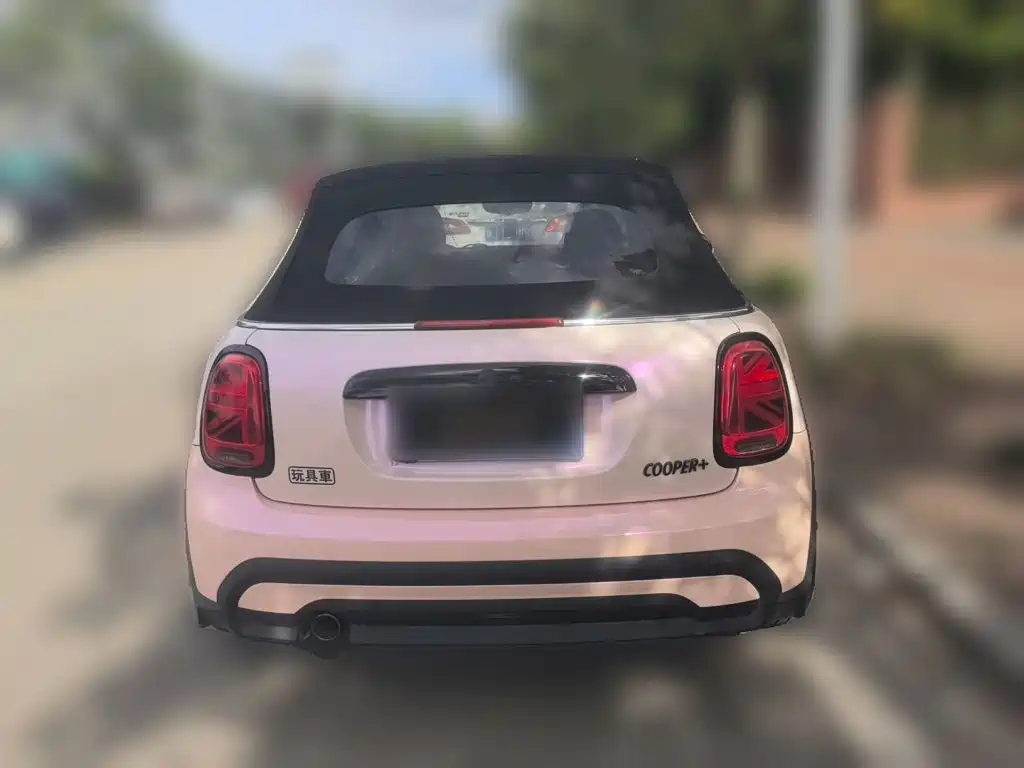 MINI MINI 2022