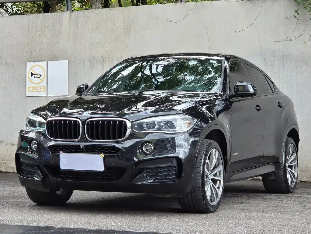 BMW X6 2018