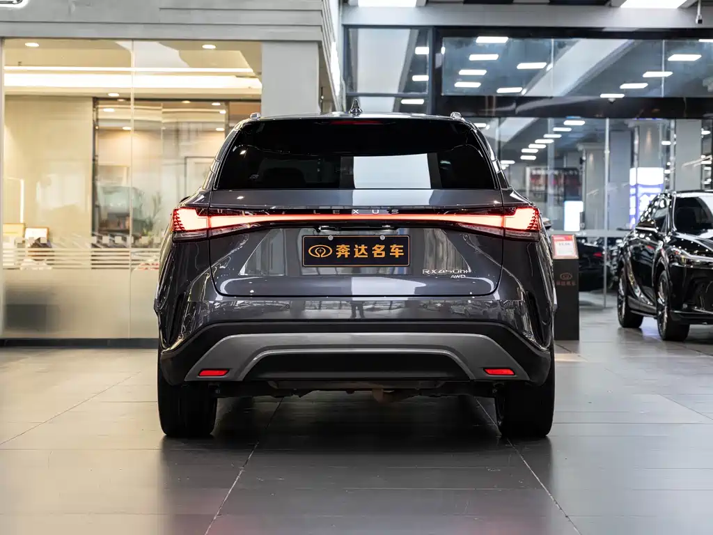 Lexus RX New Energy 2023 — фото 5