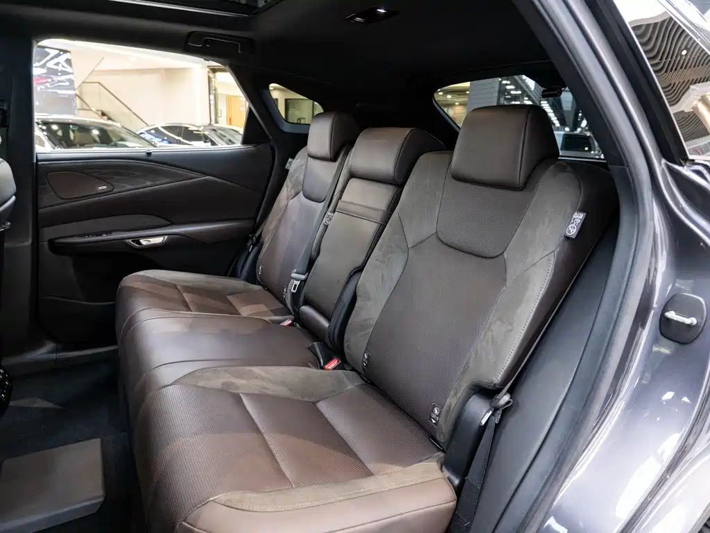 Lexus RX New Energy 2023 — фото 12