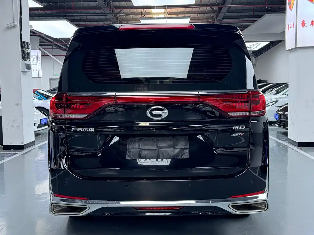 GAC Motor Trumpchi M8 2021 — фото 24
