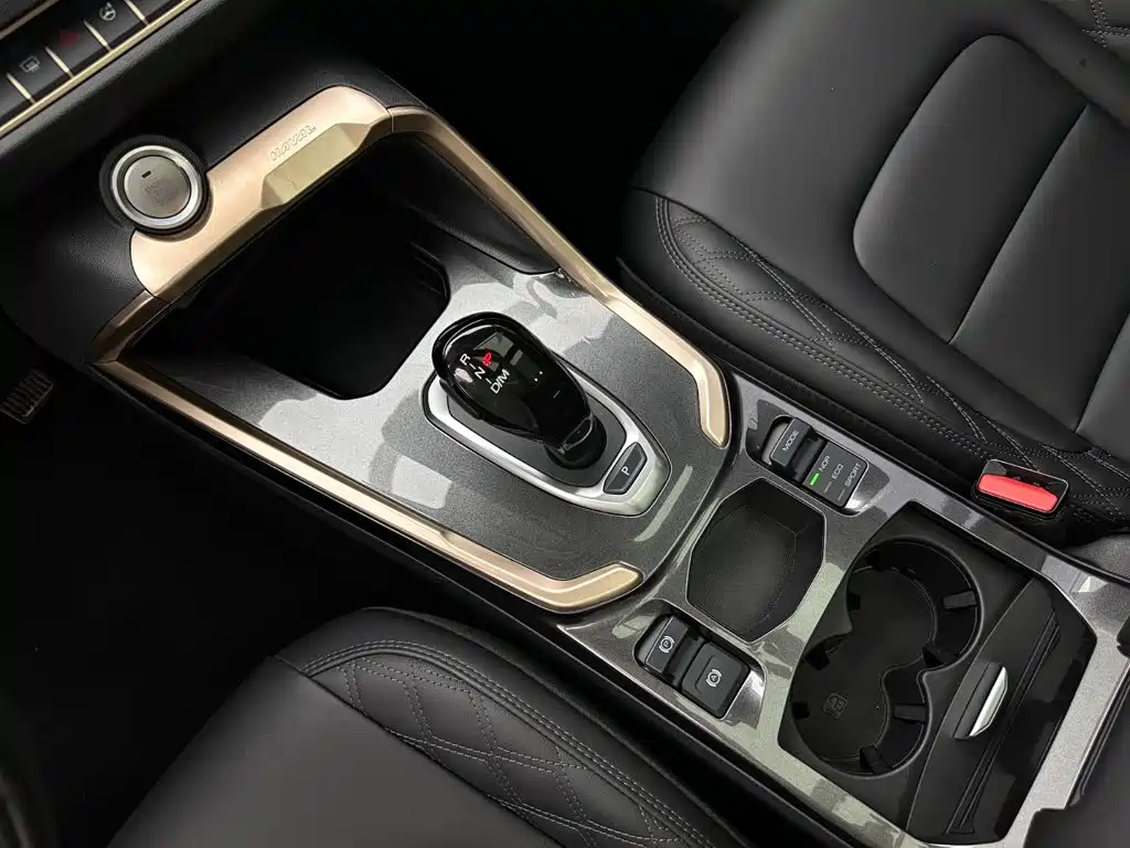 Haval H6 2021 — фото 12