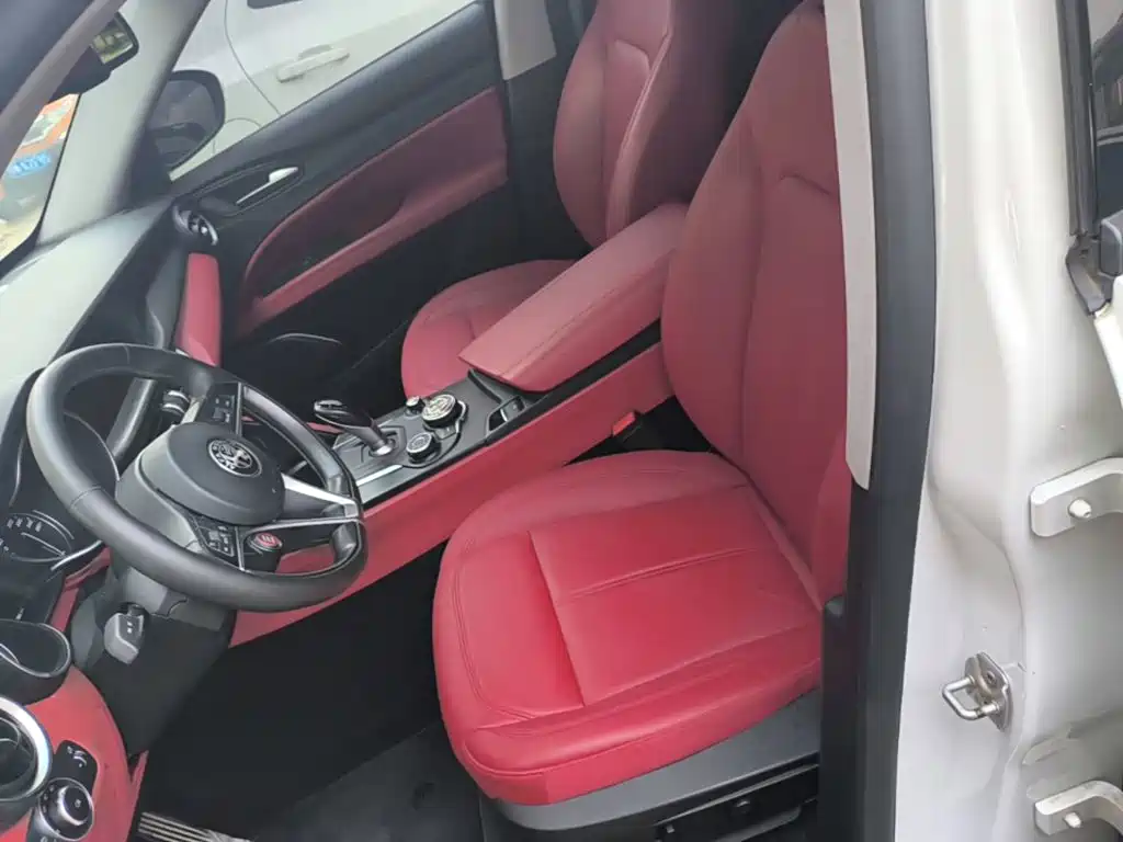 Alfa Romeo Stelvio 2019 — фото 15
