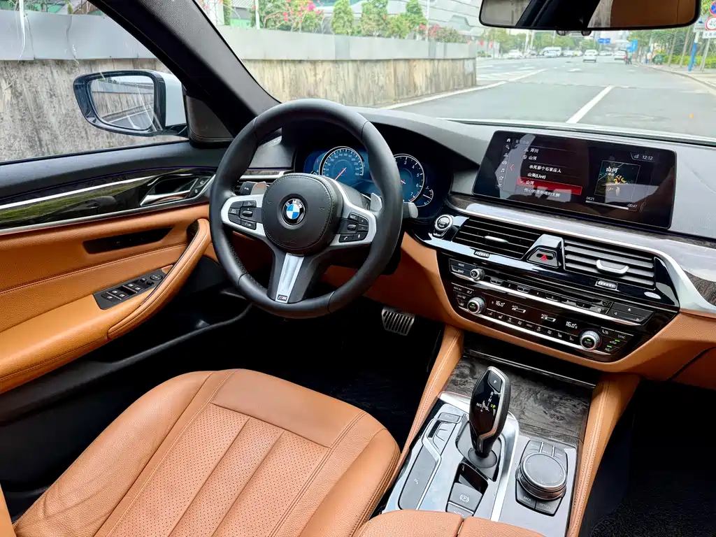 BMW 5 Series 2018 — фото 27