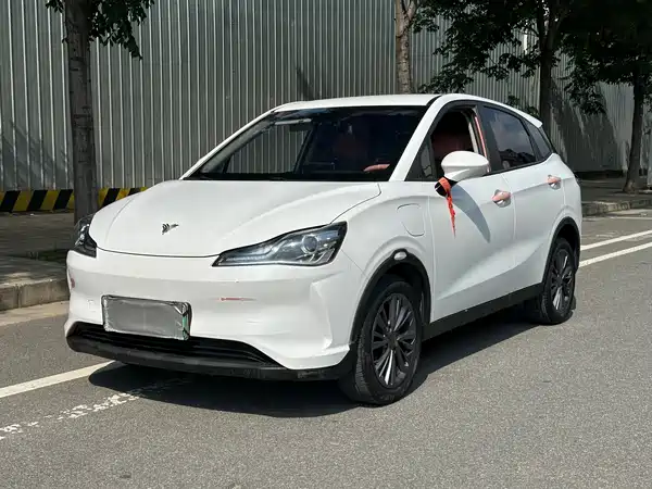 Neta V 2022