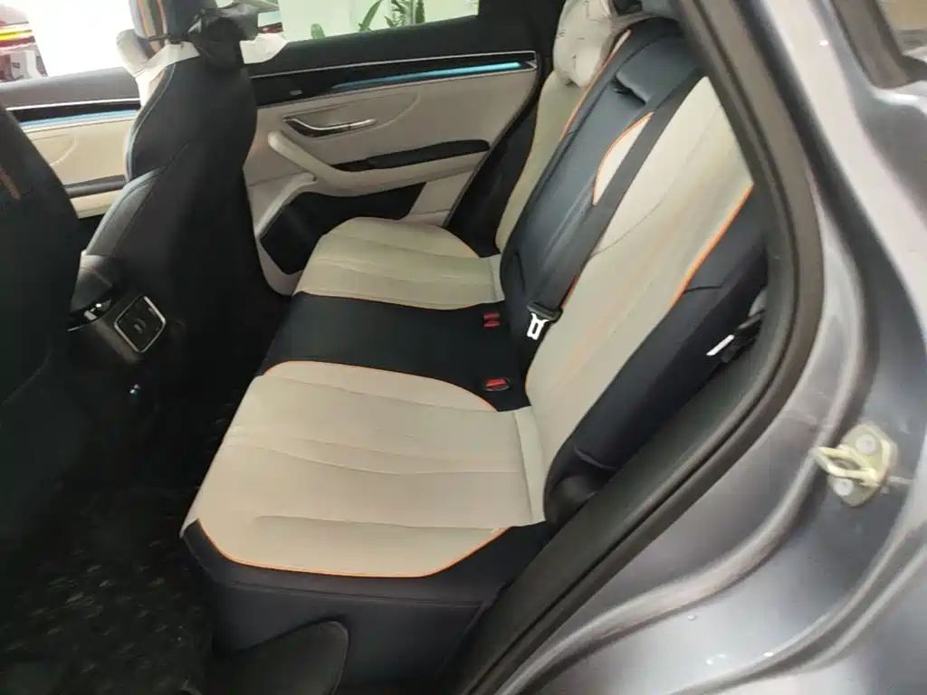 BYD Song PLUS New Energy 2022 — фото 17