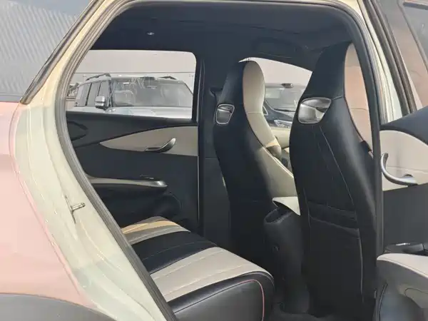 BYD Dolphin 2024
