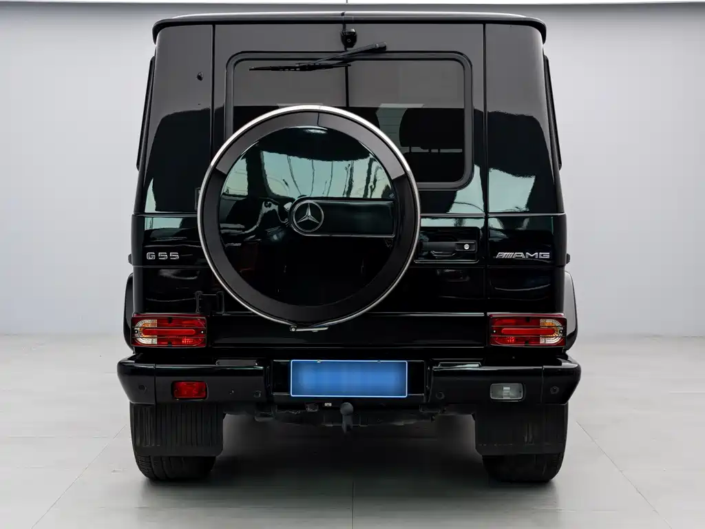 Mercedes-Benz G-Class AMG 2009 — фото 16