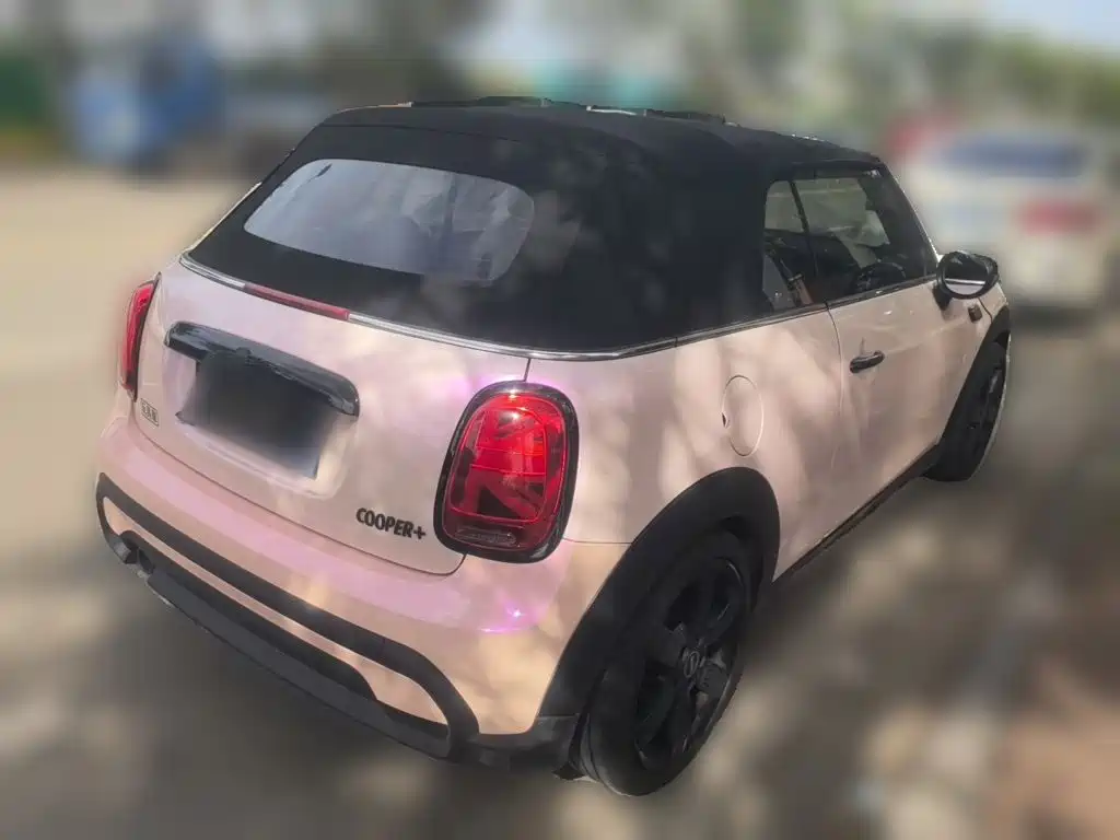 MINI MINI 2022