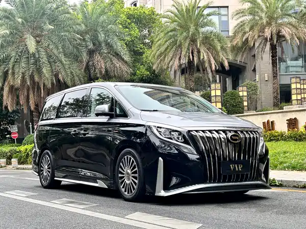 GAC Trumpchi M8 2021