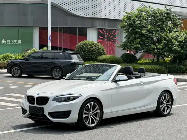 BMW 2 Series 2019
