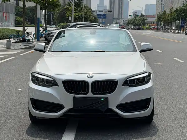 BMW 2 Series 2019
