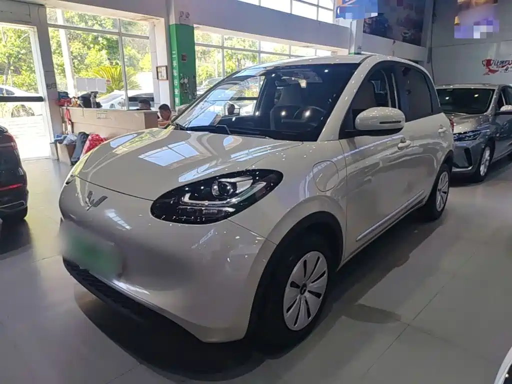 Wuling Bingo 2024