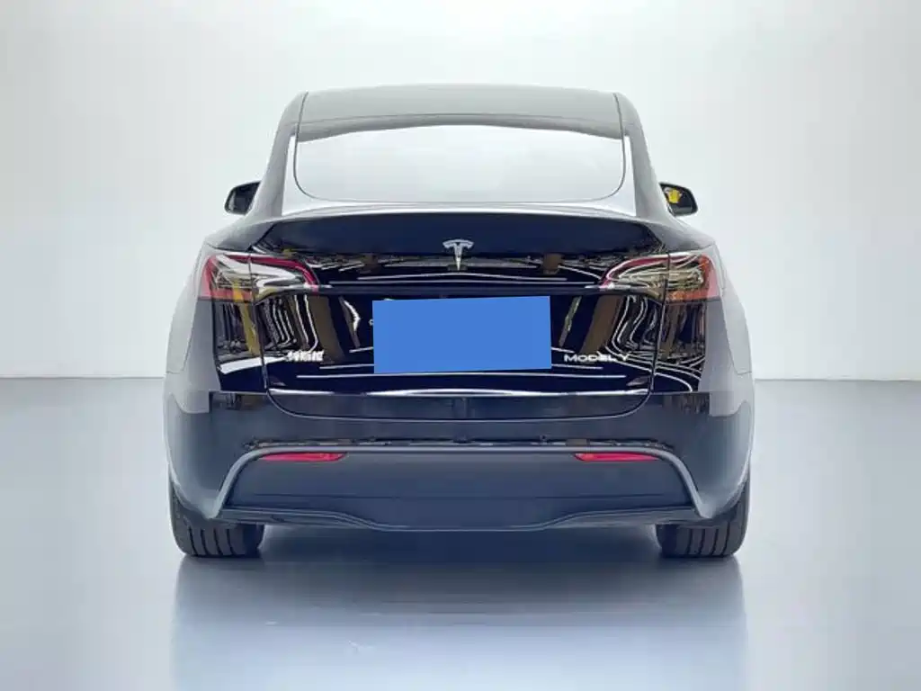 Tesla Model Y 2024 — фото 5