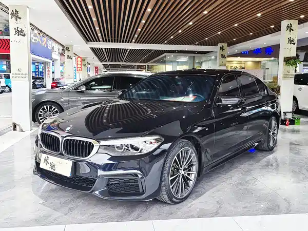 BMW 5 Series 2019