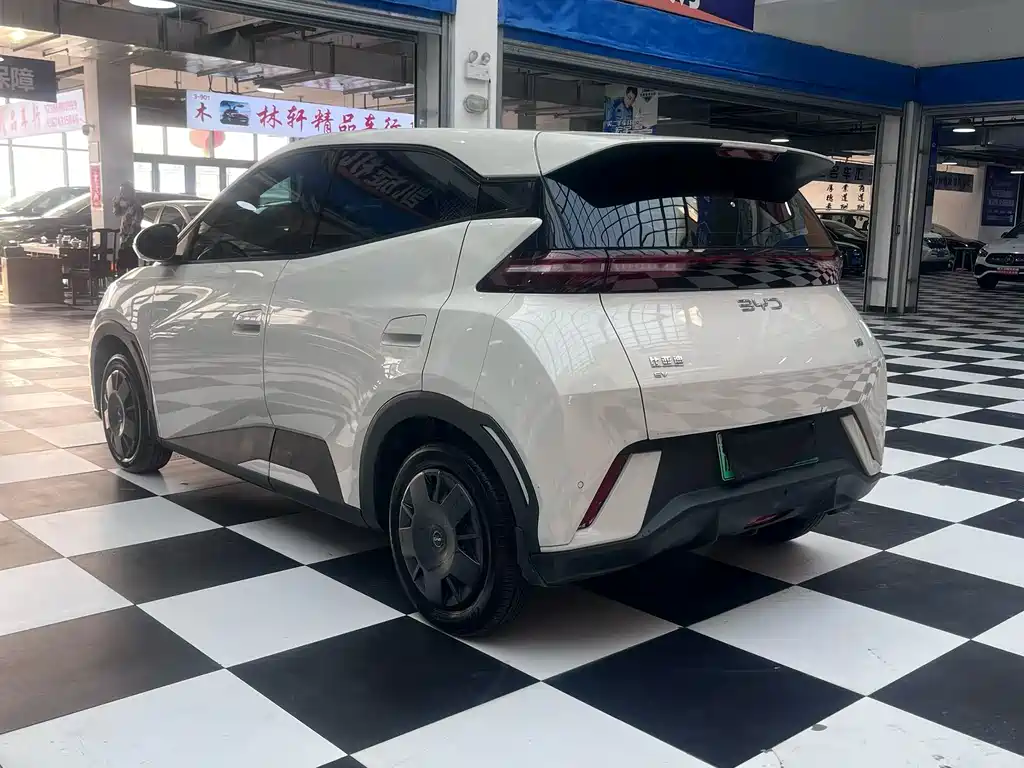 BYD Seagull 2025
