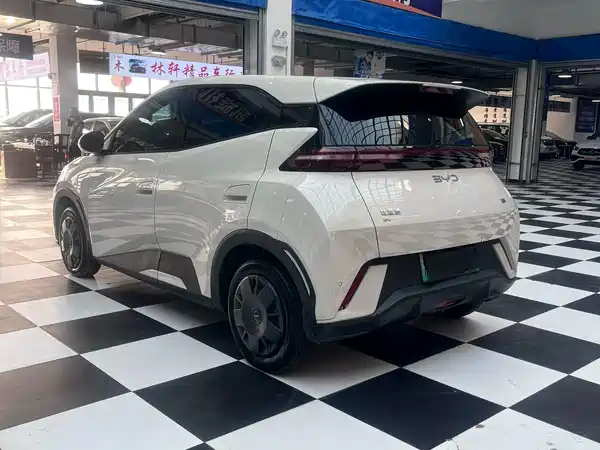 BYD Seagull 2025