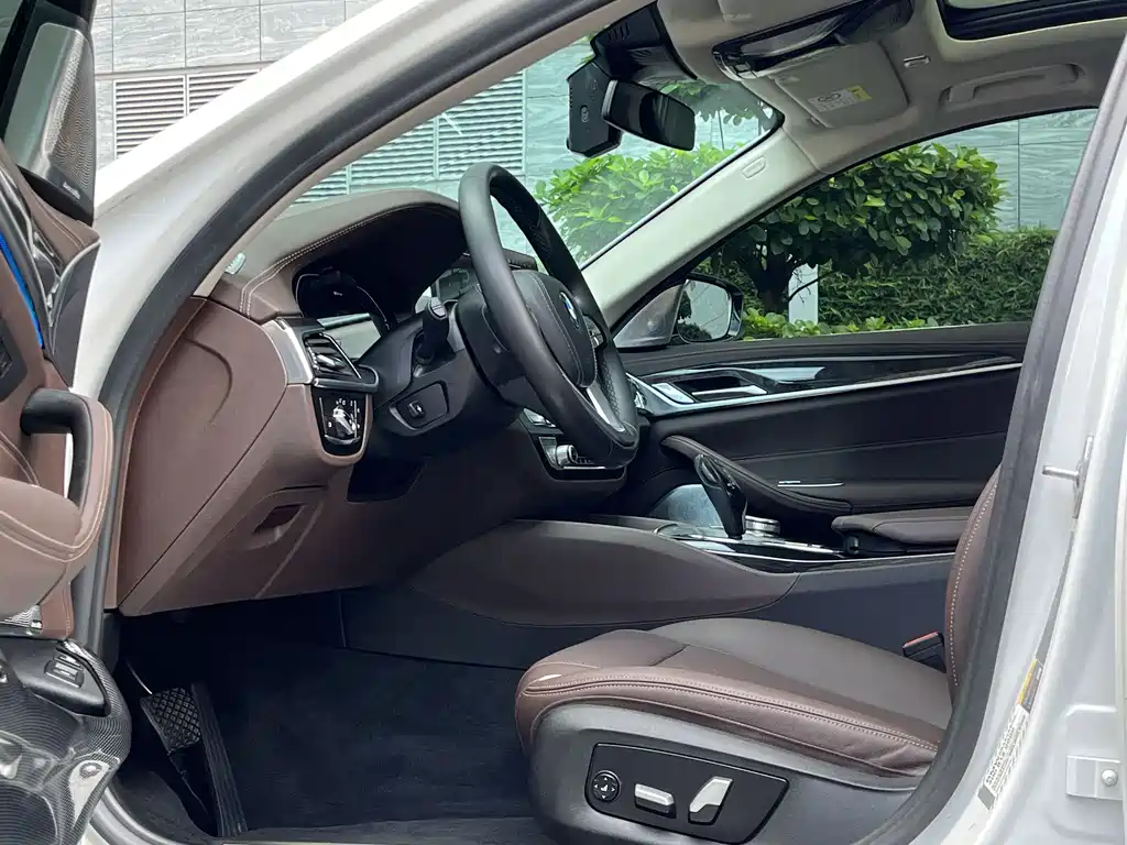 BMW 5 Series New Energy 2021