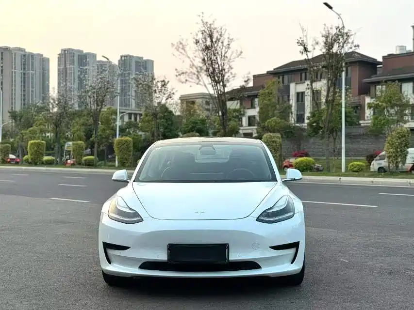 Tesla Model 3 2019 — фото 2