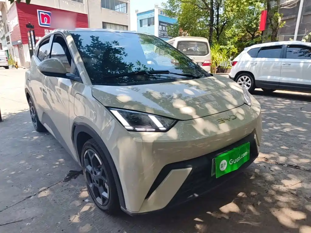 BYD Seagull 2024